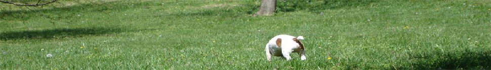Matt Singer's J237 Blog header image 2
