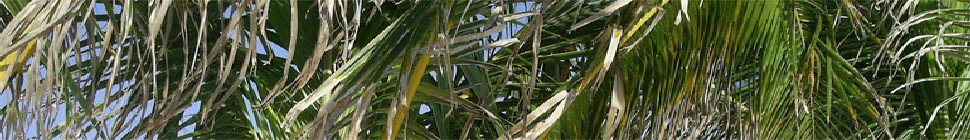 Matt Singer's J237 Blog header image 3