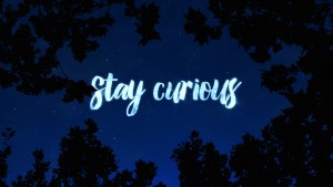 Stay+Curious_12
