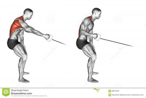 The One Arm Cable Row 