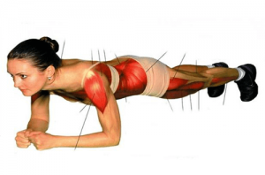 1-plank-muscles