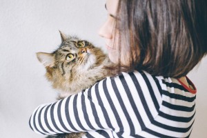 Cat_With_Owner