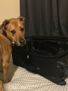 Cooper Packing
