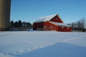 The threshing barn, Trimborn Farm