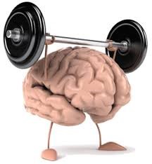 brain weight image