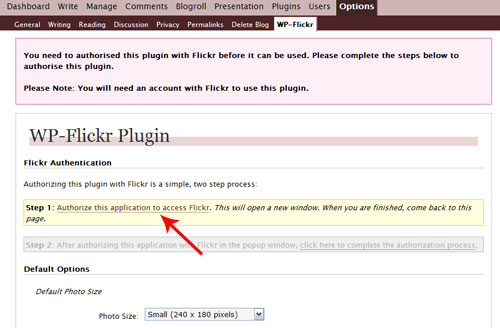 flickr1.jpg